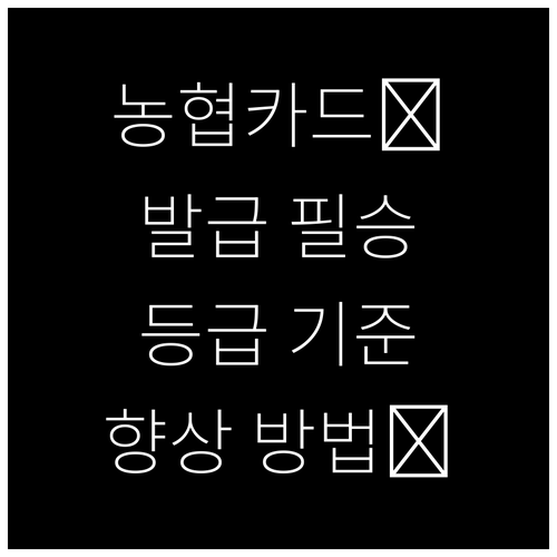 농협 신용카드 발급 필승 전략: 신용등급 기준과 향상 방법