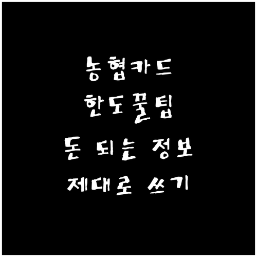 농협 신용카드 한도, 제대로 알고 쓰면 돈이 되는 정보