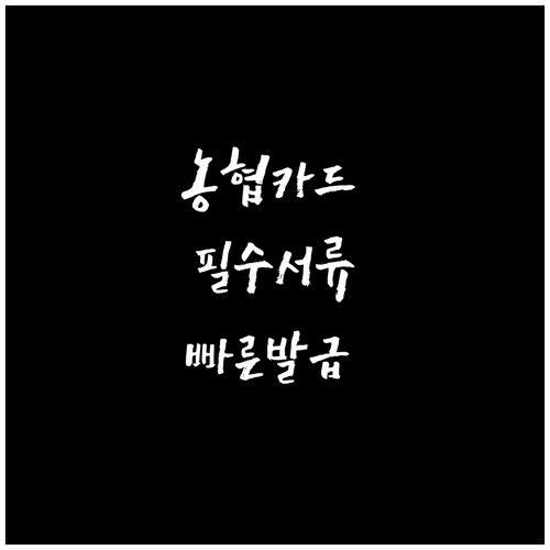 농협 신용카드 발급, 핵심 서류 준비로 빠르고 간편하게