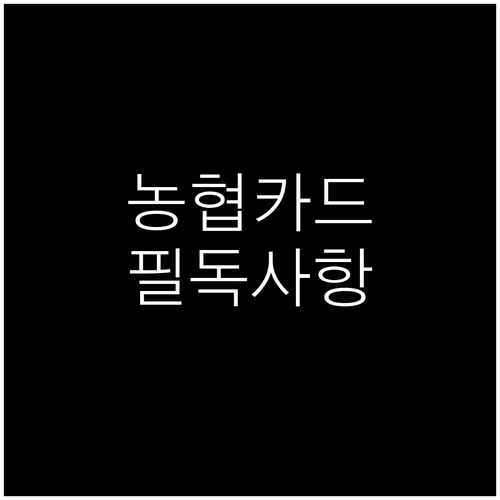 신용카드 발급 전 필독! 농협 카드 발급 조건 및 유의사항