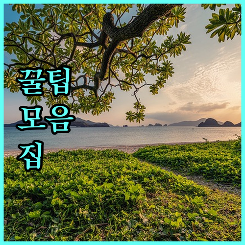 인삼 농가 필수 지원 정책! 2025 유통시설 지원사업 상세 안내
