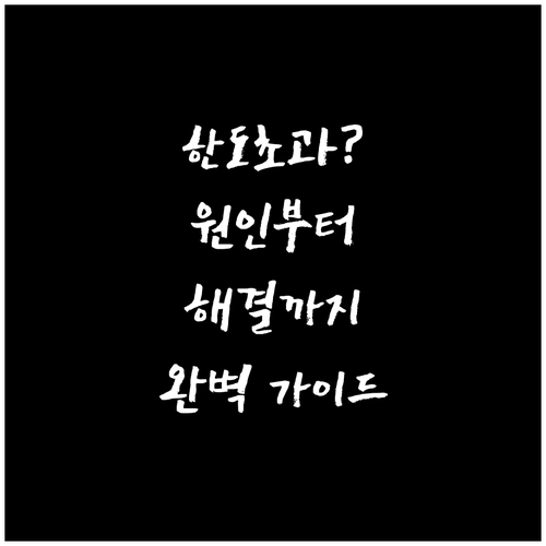 농협 신용카드 한도 초과? 원인부터 예방, 해결까지 완벽 가이드