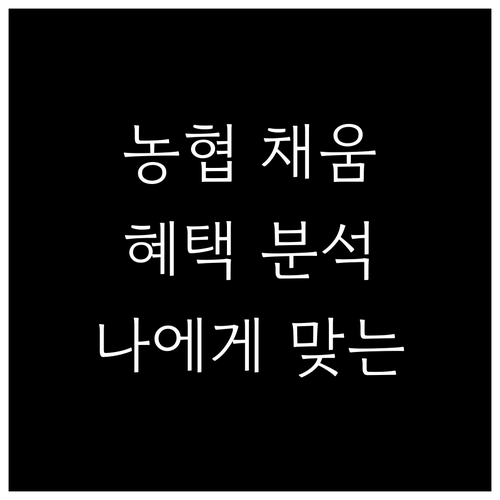 농협 채움 신용카드 혜택 분석: 당신에게 맞는 카드 찾는 법