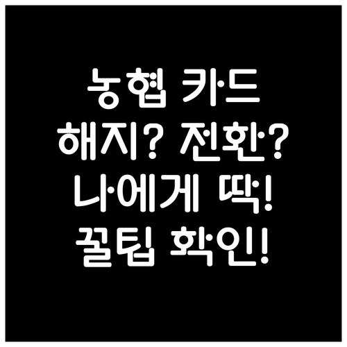 내게 맞는 NH농협 신용카드 해지·전환 방법, 지금 확인하세요