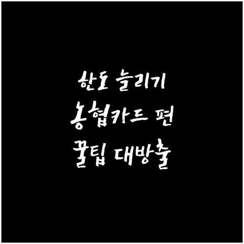 신용카드 한도 늘리는 법: 농협 카드 한도 상향의 모든 것