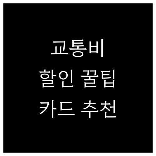 농협 신용카드 대중교통 할인 혜택 완전 분석 소비 패턴별 최적 카드 추천