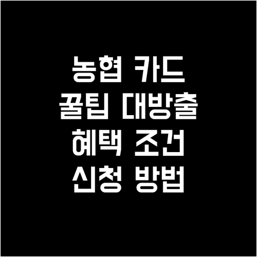 농협 신용카드 똑똑하게 발급받는 법: 조건, 혜택, 신청 채널