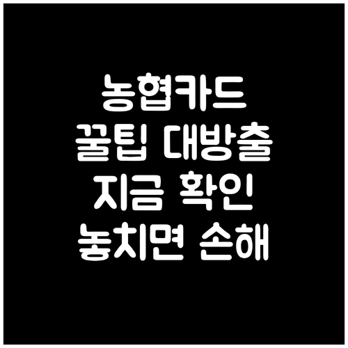 농협 신용카드 똑똑하게 활용하는 꿀팁 공개 지금 확인하세요