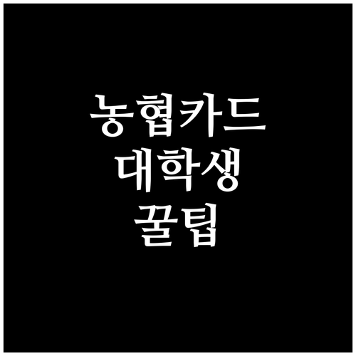 대학생을 위한 농협 신용카드 발급 전략: 조건, 필요 서류, 활용법