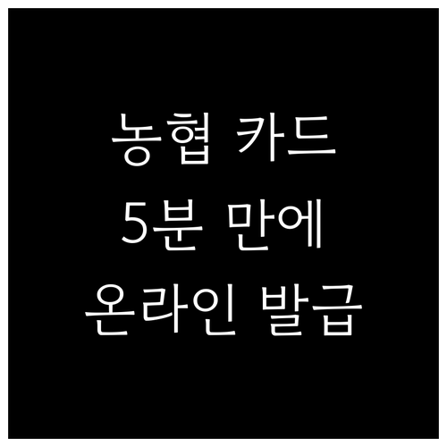 농협 신용카드 온라인 발급 가이드: 5분 만에 핵심 정보 확인