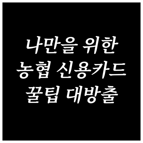 나만을 위한 농협 신용카드 선택: 소비 분석부터 카드 활용까지
