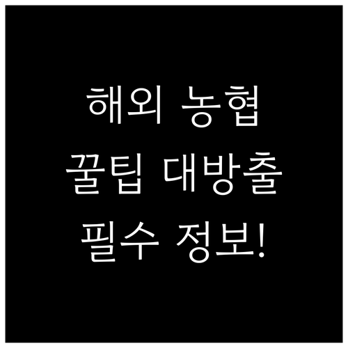 해외에서 농협카드 스마트하게 사용하기: 필수 정보 및 주의사항