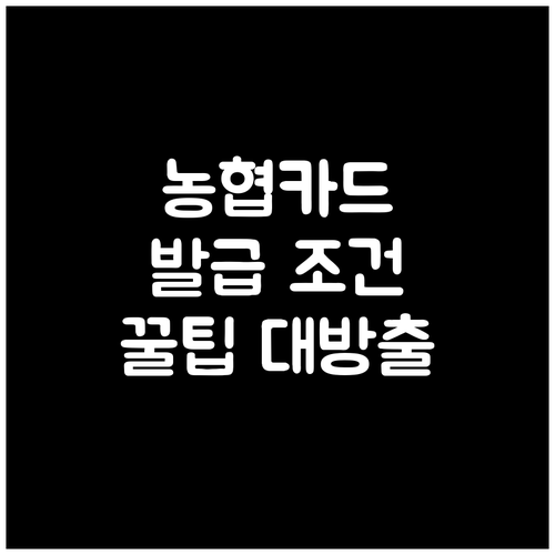 농협 신용카드 발급 나이 조건 충족? 성공 꿀팁으로 발급률 UP!
