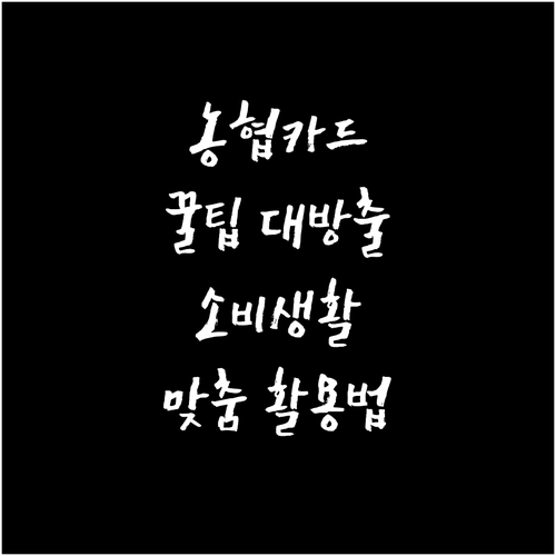 소비생활 맞춤! 농협 신용카드 혜택, 이렇게 활용하세요