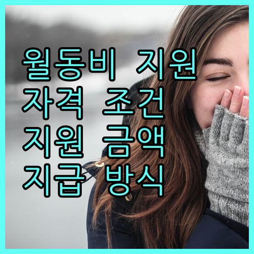 세종시 2025 중증장애인 월동비 지원: 자격 조건, 금액, 지급 방식 상세 안내