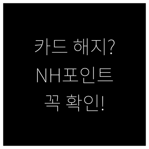 카드 해지 시 NH포인트, 놓치면 손해! 활용 전략