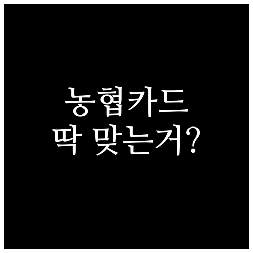 내게 맞는 농협카드 찾기: 해지 전 확인해야 할 모든 것