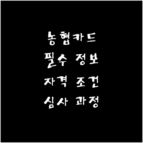 농협 신용카드 발급 필수 정보: 자격 조건부터 심사 과정까지