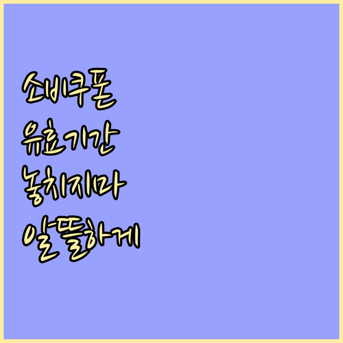 소비쿠폰 유효기간 주의! 잊지 말고 알뜰하게 사용하는 방법