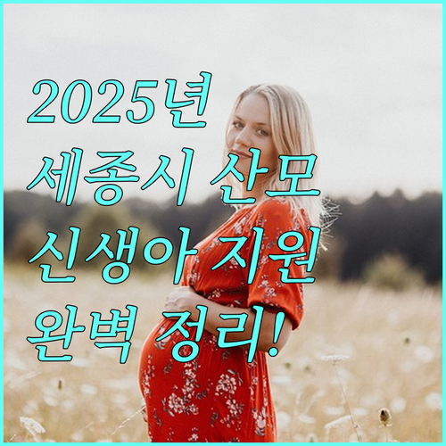 2025년 세종시 산모신생아 건강관리 지원: 대상, 내용, 신청 완벽정리