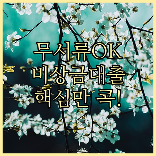 무서류 비상금대출, 알고 쓰면 약! 핵심 정보 완벽 분석