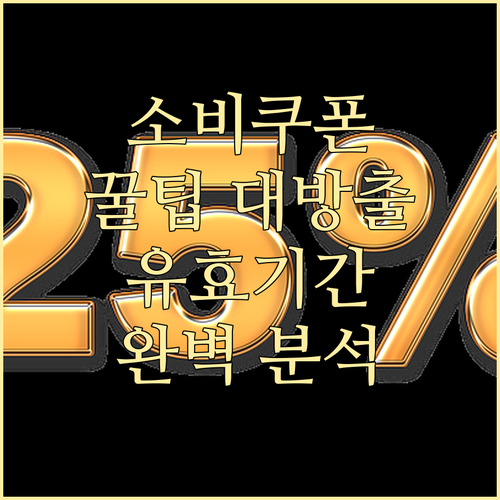 소비쿠폰 똑똑하게 쓰는 법: 유효기간부터 사용처까지 완벽 분석