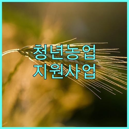 강원특별자치도 2025 청년농업인 지원 사업 완벽 분석 대상, 절차