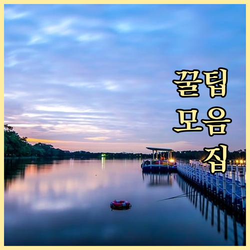 비상금대출 대환, 현명하게 사용하는 방법: 재정 효율 극대화