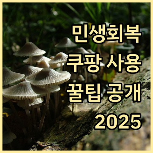 2025 민생회복 소비쿠폰 쿠팡 사용, 정책 활용법 핵심 정보