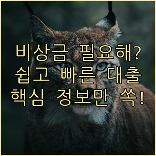 비상금대출: 신속 자금 확보를 위한 필수 정보