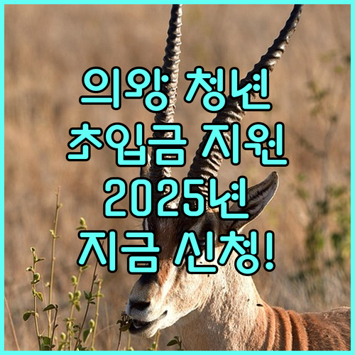 의왕 청년들을 위한 2025 신용회복 초입금 지원: 신청하세요!