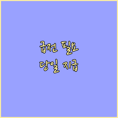 신속한 비상금 마련, 당일 지급 대출: 신청 자격, 절차, 똑똑하게 이용하는 방법