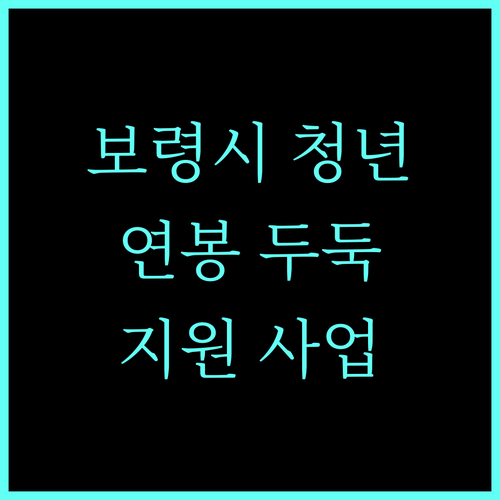 2025 보령시 청년 연봉 두둑하게, 지원 사업 상세 조건 및 신청법