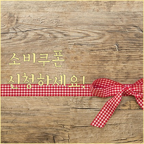 2025 민생회복소비쿠폰: 신청 자격부터 사용법까지 완벽 정리