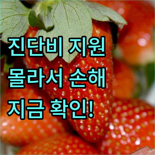 2025년 장애인 진단비 지원: 몰라서 손해 보는 혜택, 지금 확인하세요!