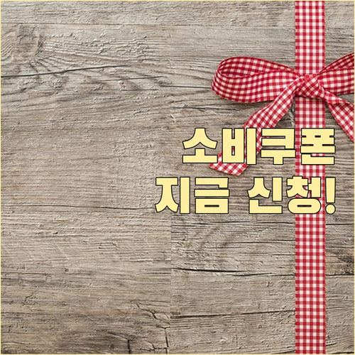 민생회복 소비쿠폰 신청, 지금이 기회! 혜택 놓치지 마세요