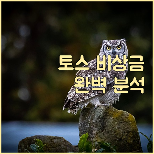 토스 비상금대출: 간편 신청 조건, 자격, 필요 서류 완벽 분석