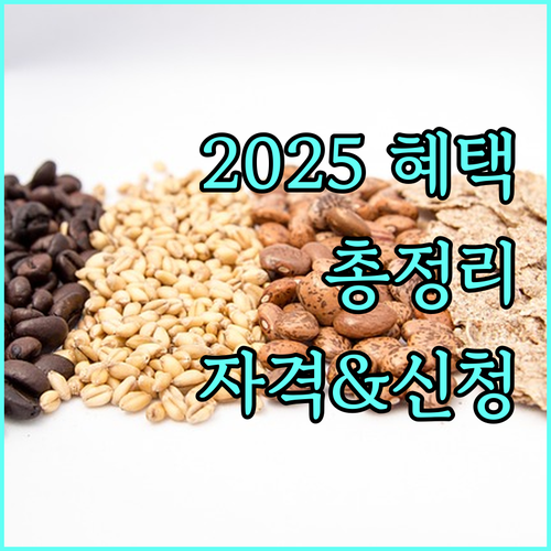 2025년 지역사회 서비스 투자사업 총정리 혜택, 자격, 신청