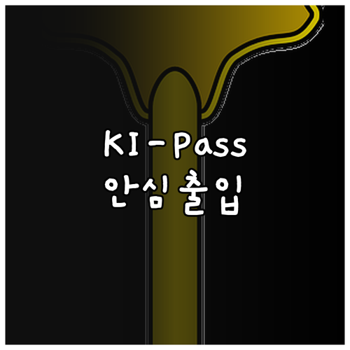 전자 출입명부 KI-Pass | 감염병 예방과 개인정보 보호, 두 마리 토끼를 잡다