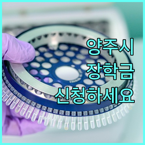 2025 양주시 중소기업 장학금, 우리 아이 꿈을 위한 기회! 신청하세요