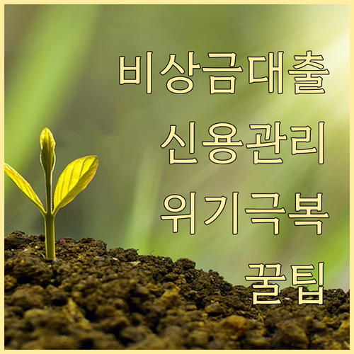비상금대출, 신용 관리 꿀팁으로 위기 극복