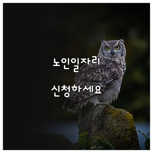 성공적인 노년 생활: 노인일자리 신청하고 활력 찾기 (신청서 제공)