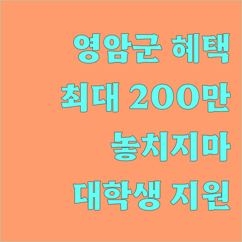 2025 영암군 대학생 전입 장려금 최대 200만원 지원 혜택 놓치지 마세요