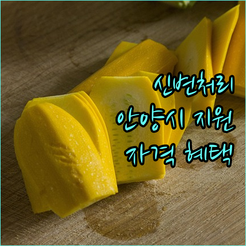 2025 안양시 장애인 신변처리용품 지원: 신청 자격, 혜택, 방법 완벽 정리