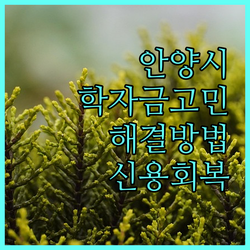 안양시 청년 학자금 고민 해결! 2025 신용회복 지원 사업 완벽 분석