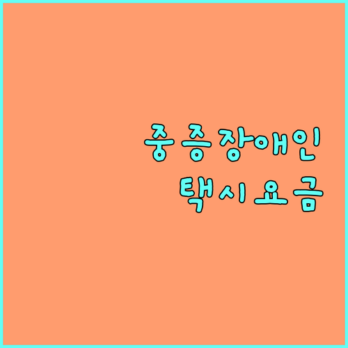 2025 오산시 중증장애인 이동 지원, 택시요금 할인 신청 방법 상세 안내