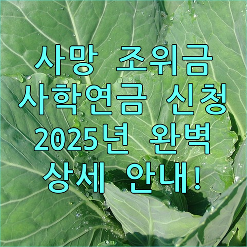 사망 조위금 2025년 사학연금 신청 방법, 지급 대상, 필요 서류 상세 안내