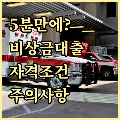 모바일로 5분 만에? 비상금대출: 자격, 한도, 주의사항 완벽 가이드