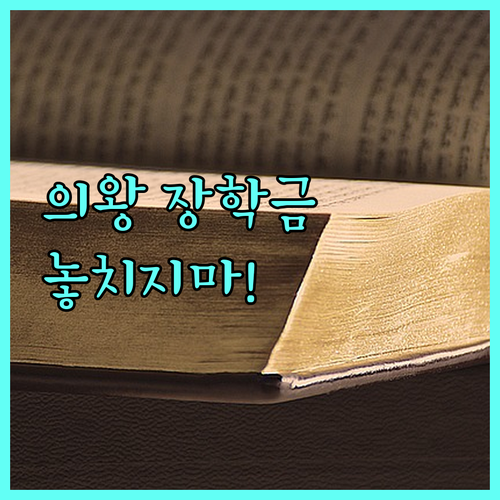 2025년 의왕시 장학금: 미래 인재를 위한 기회, 놓치지 마세요!