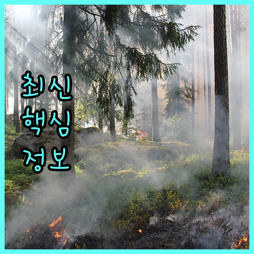 2025년 의왕시 임산부 지원: 온라인 신청, 혜택, 필요 서류 완벽 정리